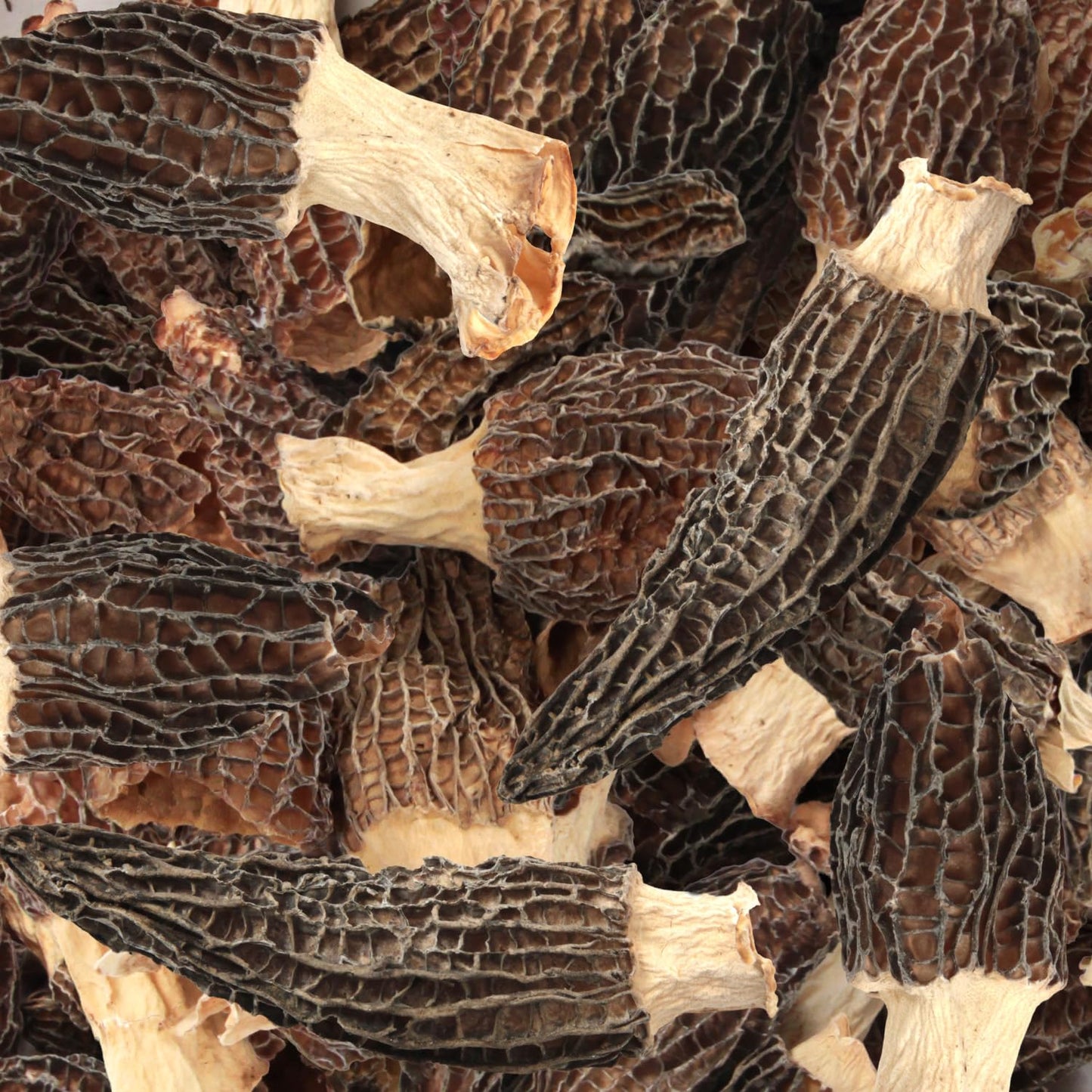 Morel Mushrooms- 2oz