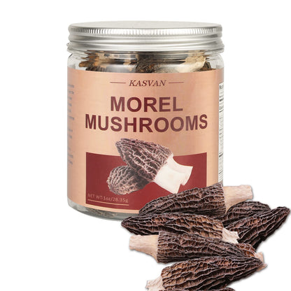 Premium Dried Morels in Tin - 1.0 oz