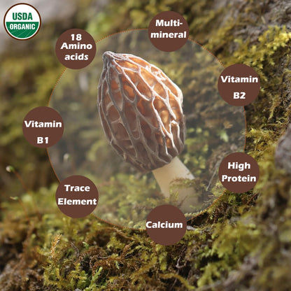 Morel Mushrooms - 1.5oz