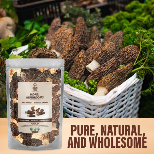Morel Mushrooms- 2oz