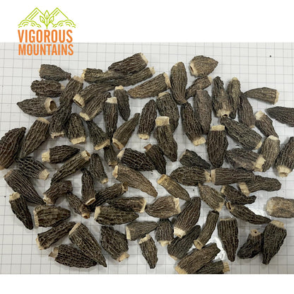 Morel Mushrooms - 2.05 OZ