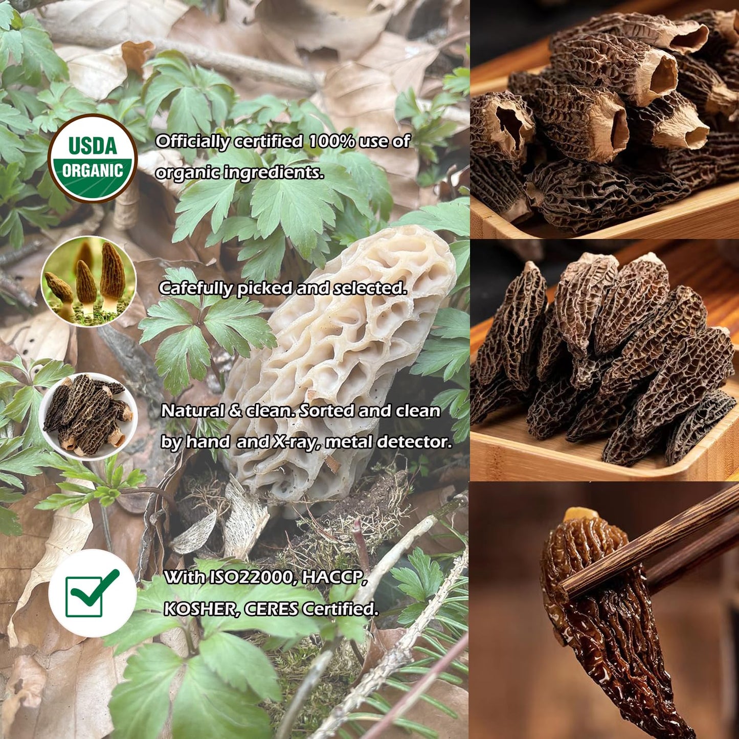 Morel Mushrooms - 1.5oz