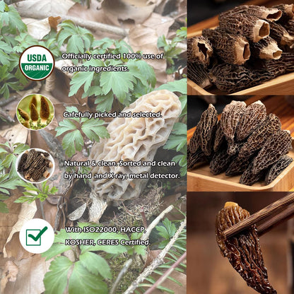 Morel Mushrooms - 1.5oz