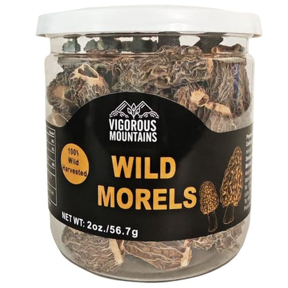 Premium Dried Morels in Tin - 1.0 oz